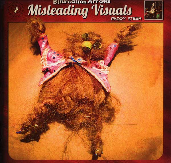 Paddy Steer - Bifurcation Arrows Misleading Visuals - UK LP