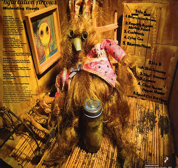Paddy Steer - Bifurcation Arrows Misleading Visuals - UK LP - back