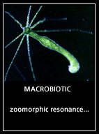 macrobiotic