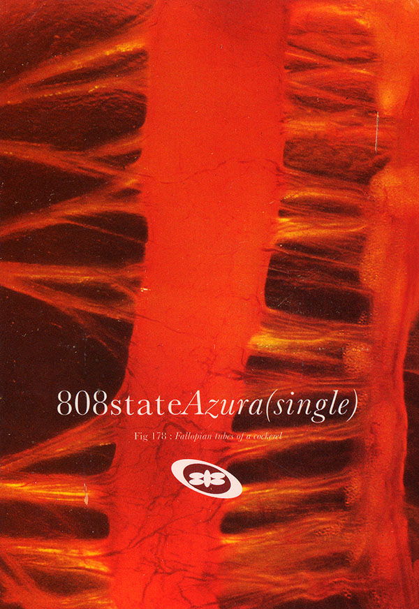 808 State - Azura - UK Promo Postcard