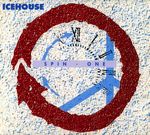 Icehouse - Dedicated To Glam